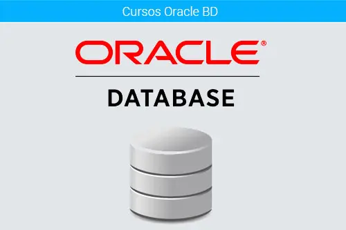 Cursos online administracion base de datos oracle